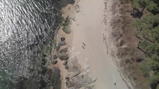 从空中俯瞰大海 — 图库视频影像