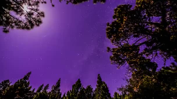 Night Sky Stars Moon — Stock Video