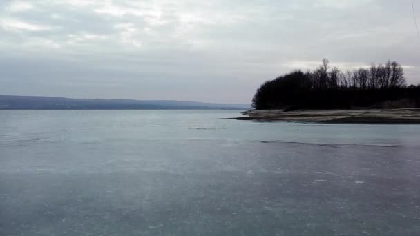 Paesaggio Invernale Con Alberi Innevati — Video Stock