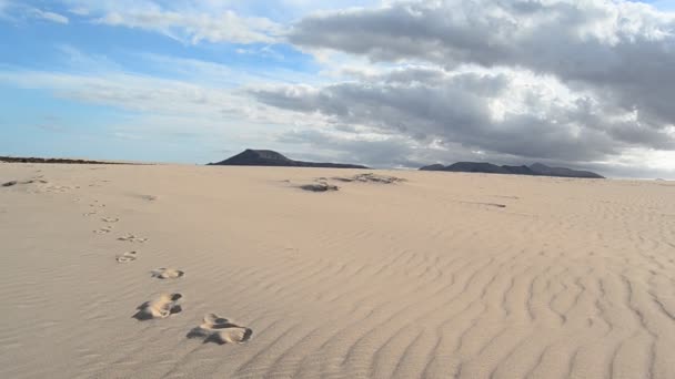 Dunes Sable Dans Désert — Video