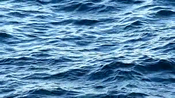 Onde Marine Sulla Superficie Dell Acqua — Video Stock