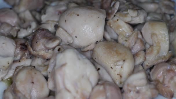 Closeup Shot Grilled Chicken Meat — Stock Video