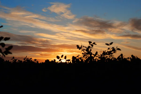 Beautiful Dramatic Sunset Cloudscape Land Silhouette Orust Bohuslan Sweden — Stock Photo, Image