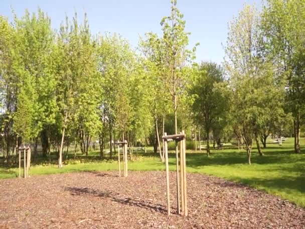 Plantar Árboles Parque Día Primavera — Vídeo de stock