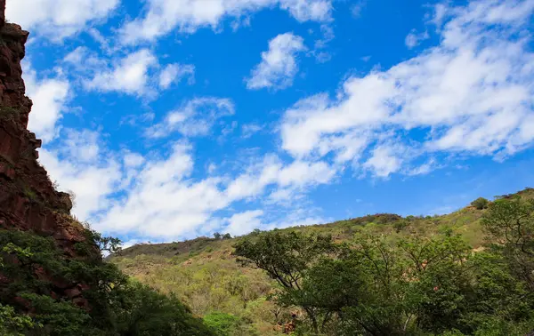 바위투성이 언덕에 나무들의 아름다운 — 스톡 사진