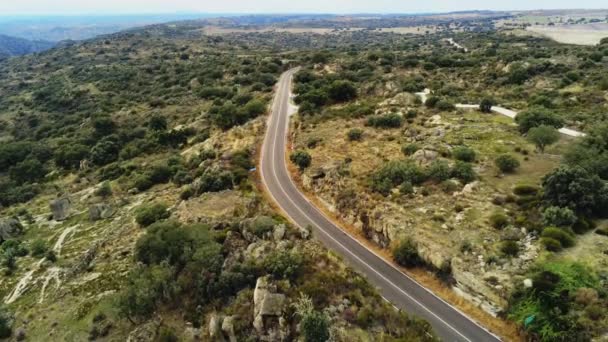 Aerial Shot Empty Two Lane Road Beautiful Landscapes Endless Green — Wideo stockowe