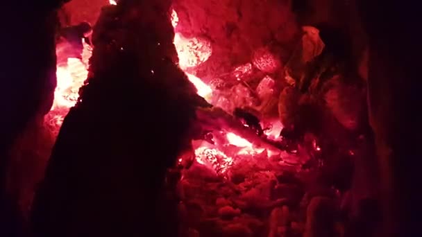 Burning Firewood Fireplace — Stockvideo