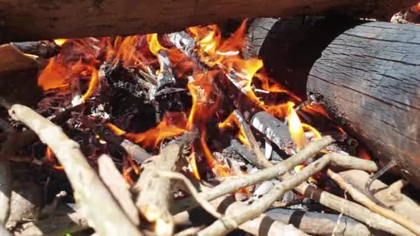 在壁炉里生火 — 图库视频影像