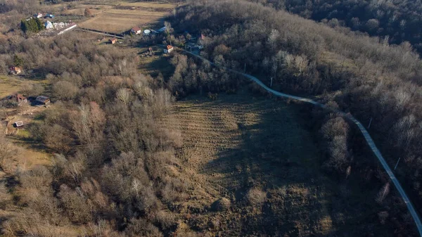 Kırsal Kesimde Ağaçlarla Çevrili Bir Yolun Havadan Görünüşü — Stok fotoğraf