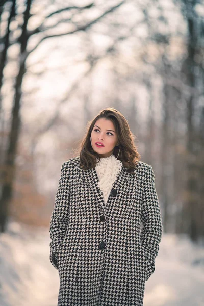 Une Jolie Brune Manteau Carreaux Posant Pour Caméra Jour Hiver — Photo