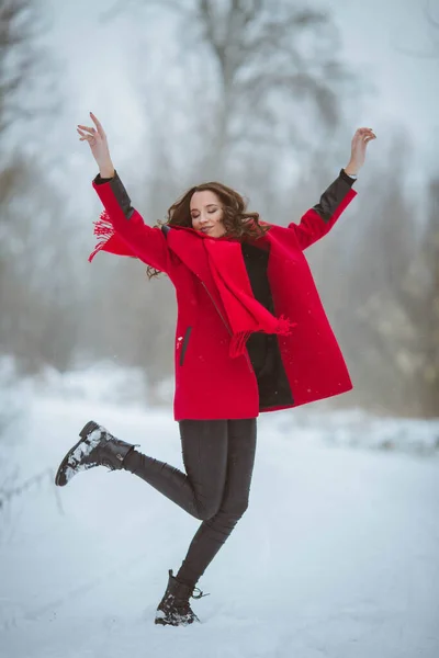 코트를 겨울에 카메라 보스니아 — 스톡 사진