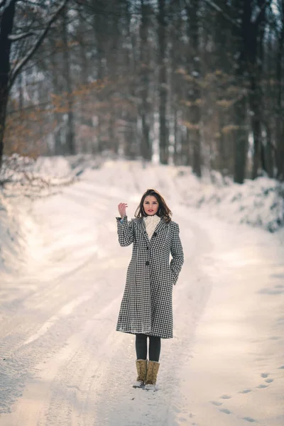 スタイリッシュなコートを着たブルネットの女性の垂直ショット雪の森の歩道を歩く — ストック写真