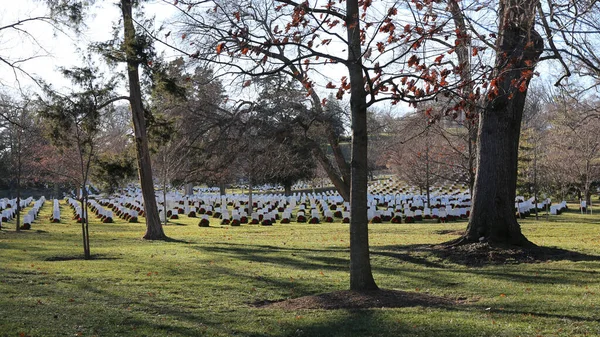 Primer Plano Del Cementerio Nacional Arlington —  Fotos de Stock