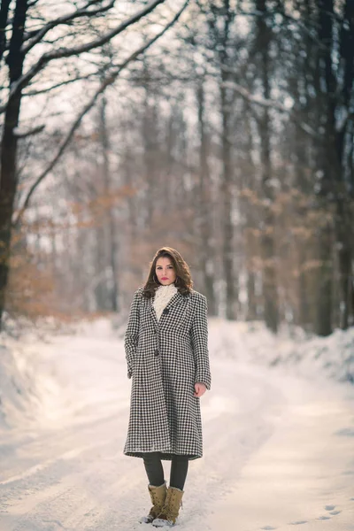 Vertical Shot Brunette Female Stylish Coat Walking Snowy Forest — стоковое фото