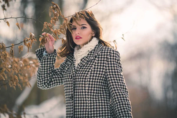 Une Jolie Brune Manteau Carreaux Posant Pour Caméra Jour Hiver — Photo