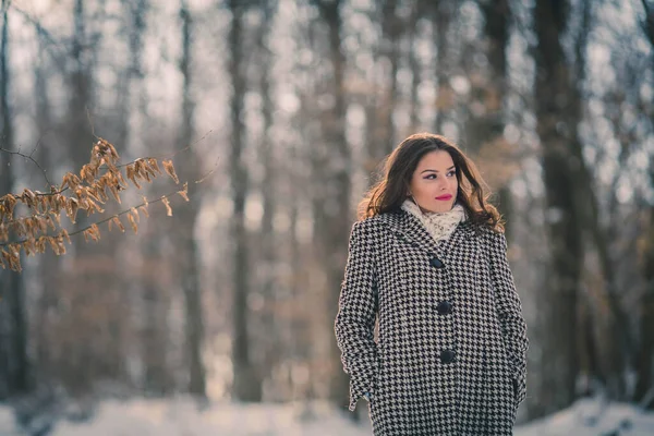 겨울날 체크무늬 코트를 카메라 포즈를 취하고 매혹적 — 스톡 사진