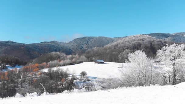 Hermoso Paisaje Invierno Con Árboles Cubiertos Nieve — Vídeos de Stock