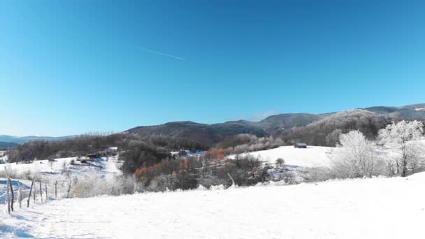 Beautiful Snowy Winter Landscape Village — Stock Video