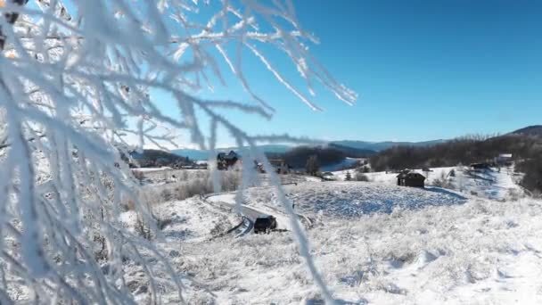 Besneeuwd Bos Landschappelijk Uitzicht — Stockvideo