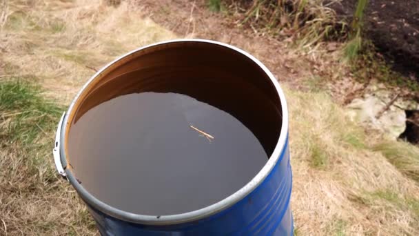 Collected Rain Water Metal Barrel — Wideo stockowe