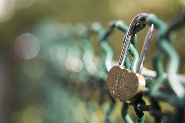 Cute Padlock Green Metallic Grate Symbol Eternal Love — Stock Photo, Image