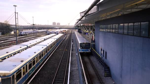 Metro Stopt Bij Het Bovengrondse Station Avond Het Station Nachts — Stockvideo