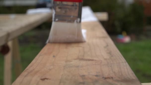 Lassított Felvétel Egy Fából Készült Kerítést Fehérre Festő Személyről Ecsettel — Stock videók