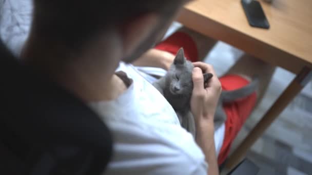 Eine Nahaufnahme Eines Kaukasischen Mannes Der Sein Entzückendes Kätzchen Streichelt — Stockvideo