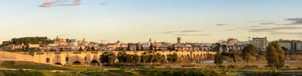 Plano Panorámico Badajoz Cubierto Edificios Árboles Durante Puesta Sol España — Foto de Stock