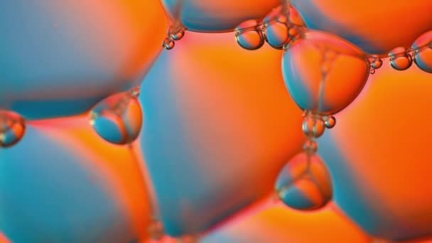 Burbujas Neón Abstractas Líquido — Vídeos de Stock