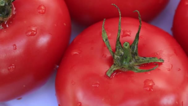 Primer Plano Tomates Maduros Frescos Cubiertos Con Gotas Agua — Vídeos de Stock