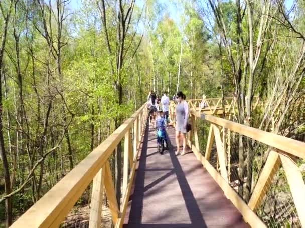 Άνθρωποι Περπατούν Ένα Πάρκο Δέντρα Και Ξύλινη Γέφυρα — Αρχείο Βίντεο