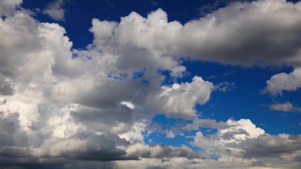 Blue Sky Clouds — Stock Video