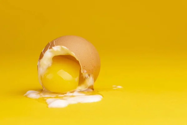 Yoke out of broken shell of soft cooked egg with the slimy white spilling over a seamless yellow background.