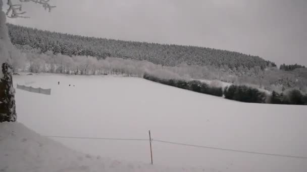 Tormenta Nieve Sobre Las Montañas Temporada Invierno Hermosa Naturaleza — Vídeos de Stock