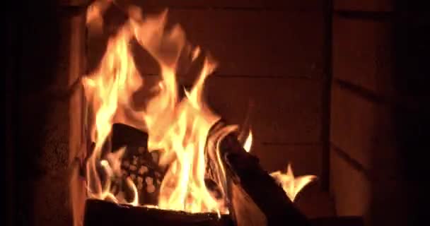 Zbliżenie jasne strzał z suchego drewna palenie w kominku — Wideo stockowe