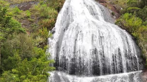 Cascada Bosque — Vídeos de Stock