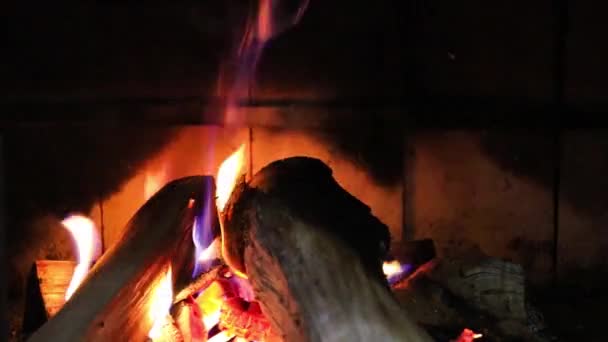 暖炉でたき火を焼く 台所で火事だ — ストック動画