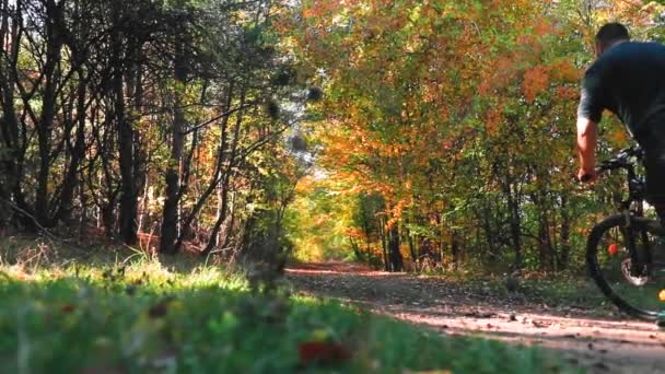 秋の木々に囲まれた道を自転車に乗るサイクリストの4Kレンダリング — ストック動画