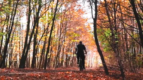 Sonbahar Yapraklarıyla Bisiklet Süren Bir Bisikletçinin Lık Görüntüsü — Stok video