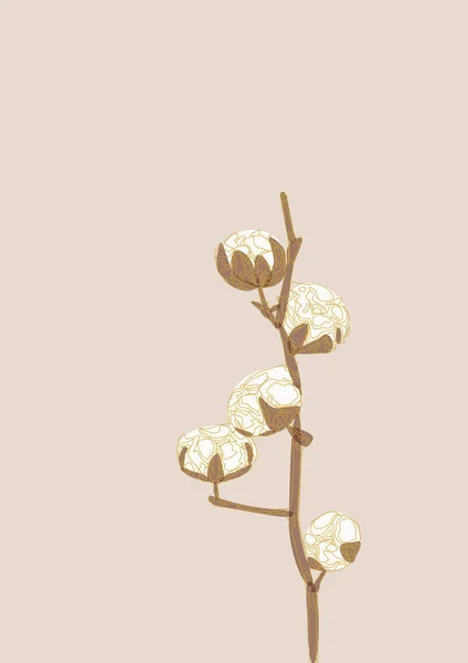 Ilustrace Bavlněných Květin Pastelovém Pozadí — Stock fotografie