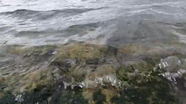 Olas Agua Playa — Vídeos de Stock