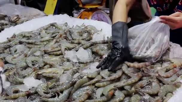Verse Garnalen Schaaldieren Garnalen Verkopen Een Vismarkt Het Naklua District — Stockvideo