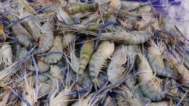 市集新鲜冷水虾的高角景观 — 图库视频影像