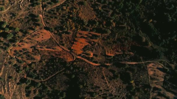 在蓝天的背景下 一个四千米的小镇被树木环绕 — 图库视频影像