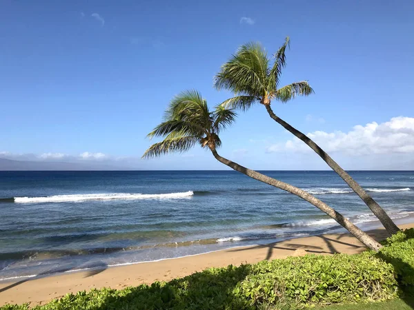 Closeup Shot Kaanapali Beach Maui Hawaii — Stock Photo, Image