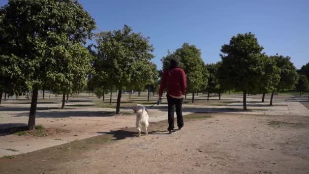 Een Spaanse Man Die Loopt Speelt Met Zijn Golden Retriever — Stockvideo