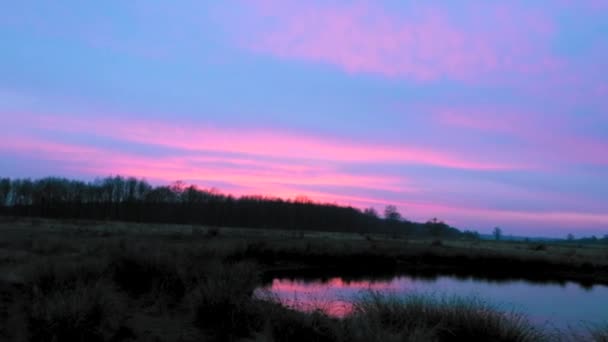 Eine Teichlandschaft Einem Feld Während Eines Atemberaubenden Lila Sonnenuntergangs — Stockvideo