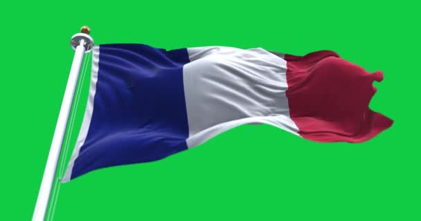 Grande Bandiera Della Francia Sventola Nel Vento Sfondo Verde — Video Stock