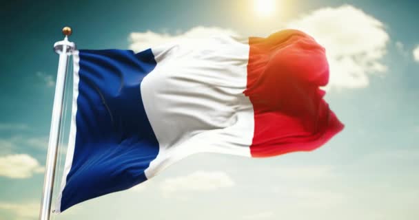 Fransa Bayrağı Gökyüzünde Rüzgarda Dalgalanıyor — Stok video